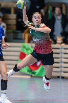 Bild 104 - F HSG Kremperheide/Muensterdorf - HSG Holstein Kiel/Kronshagen : Ergebnis: 31:26